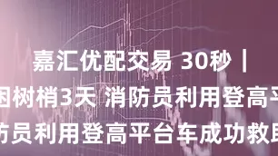 嘉汇优配交易 30秒｜喵星人被困树梢3天 消防员利用登高平台车成功救助