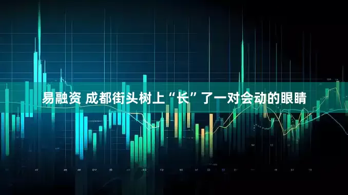 易融资 成都街头树上“长”了一对会动的眼睛