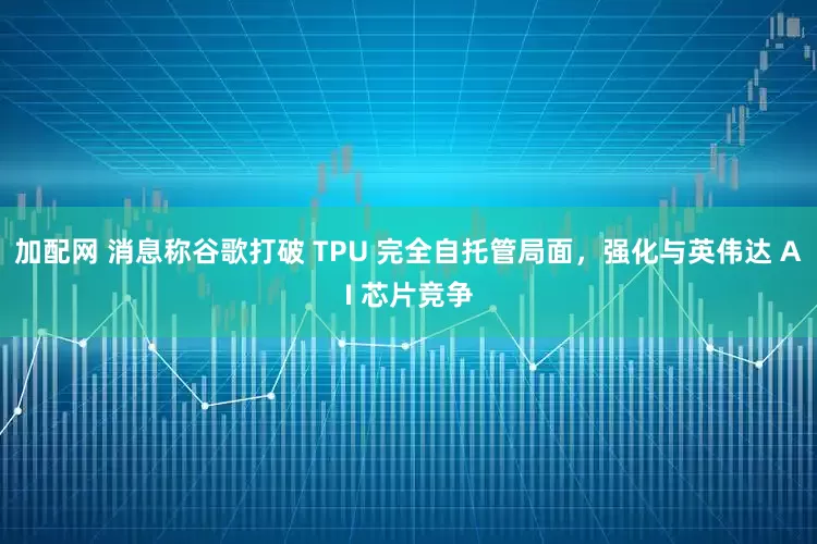 加配网 消息称谷歌打破 TPU 完全自托管局面，强化与英伟达 AI 芯片竞争
