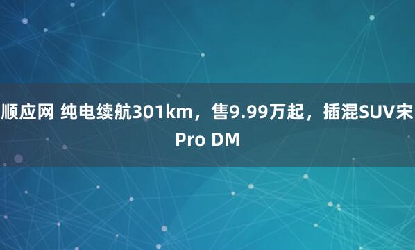 顺应网 纯电续航301km，售9.99万起，插混SUV宋Pro DM